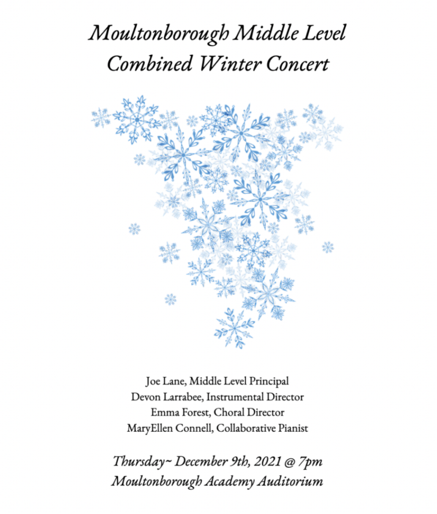 snow flake on program