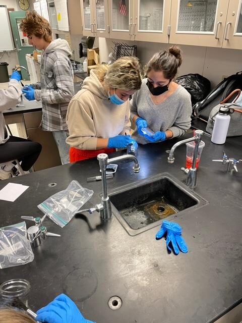 Two students conducting experiment in science class