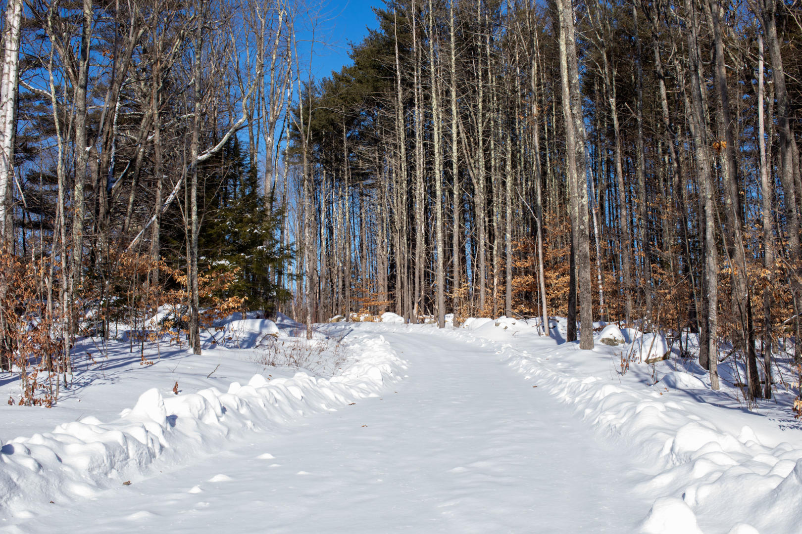 snow covered road