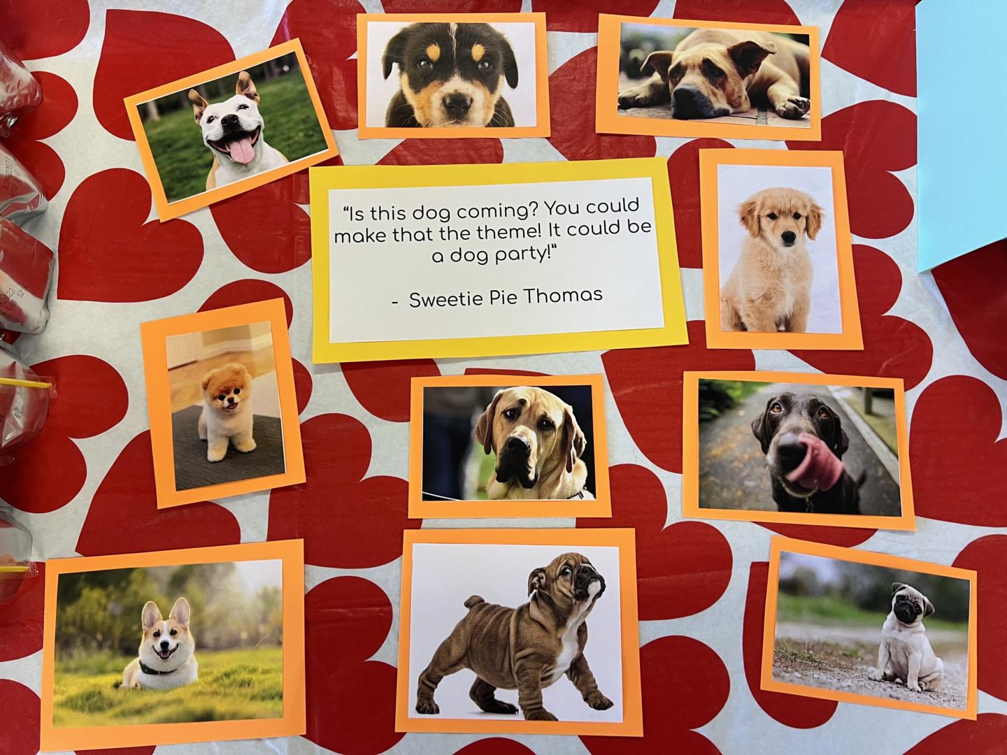 pictures of different breeds of dogs